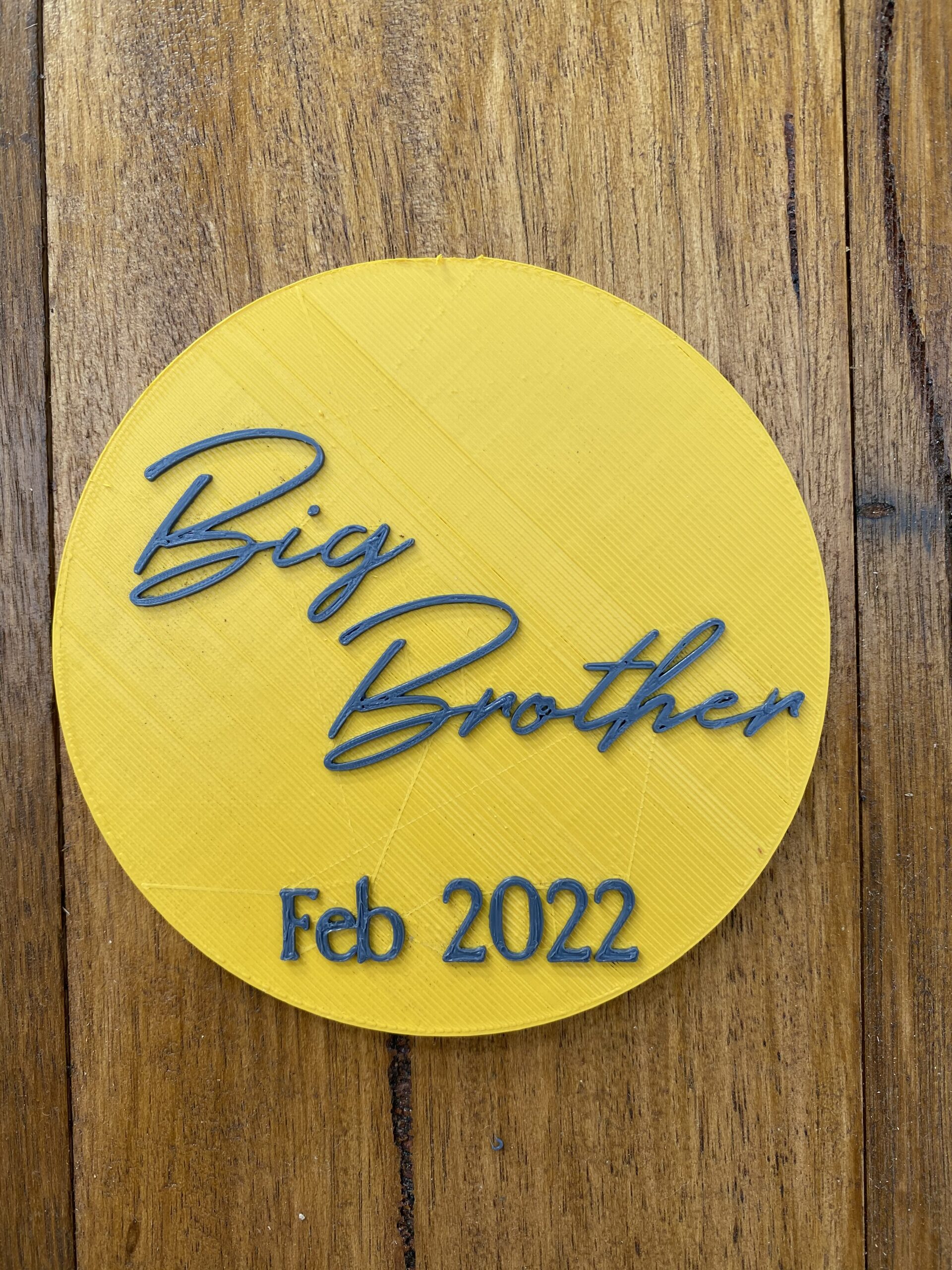 Big Brother Pregnancy Announcement - Image 2