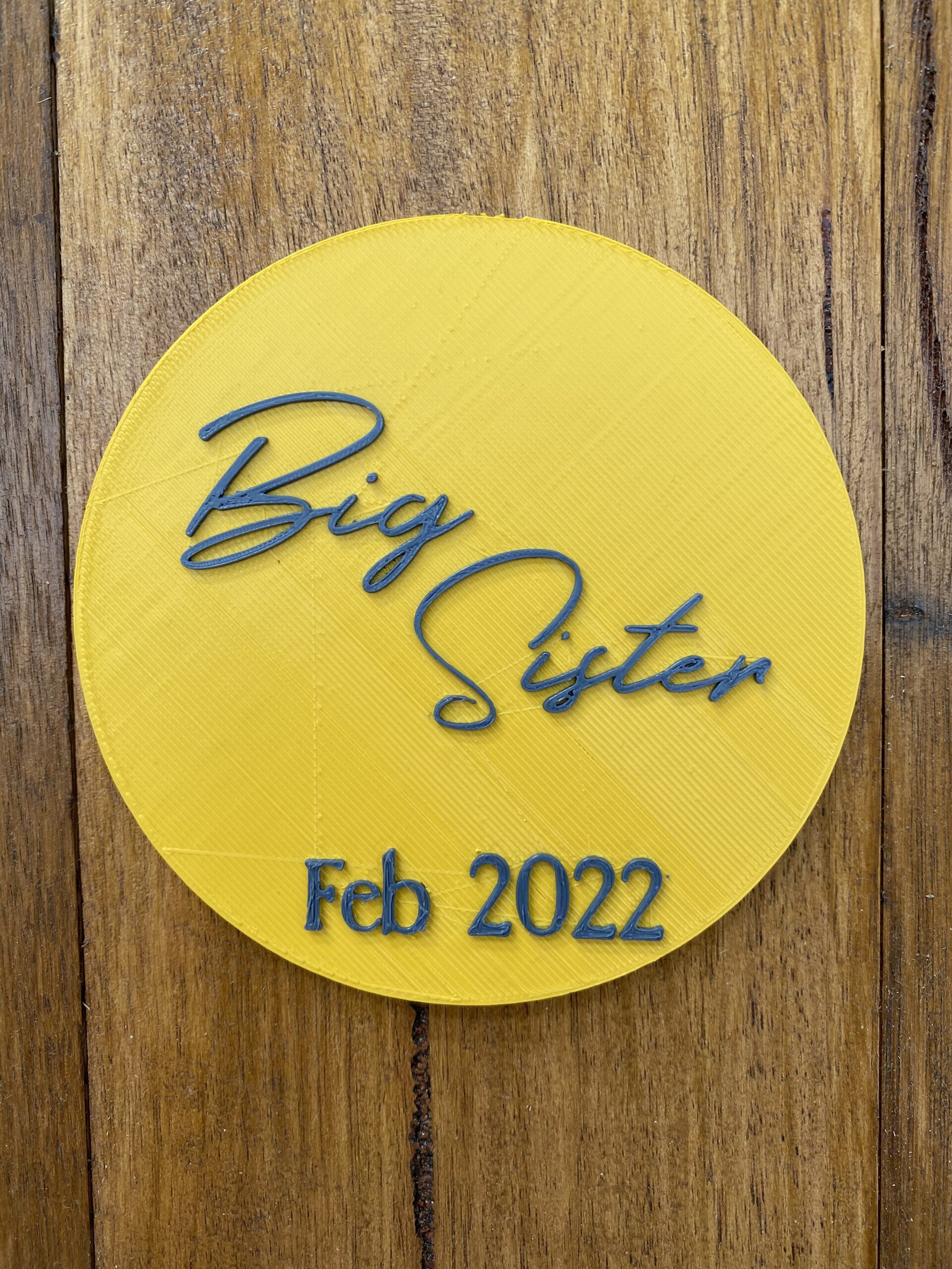 Big Sister Pregnancy Announcement - Image 2